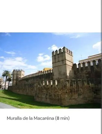 En El Casco Antiguo Junto Alameda H. * Севилья